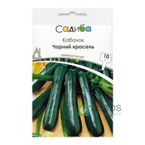 Кабачок Чорний краскень, 10г, Садиба