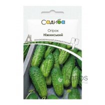 Огірок Ніжинський, 1г, Садиба