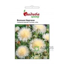 Волошка Наречена біла, 03г, Садиба Центр