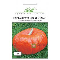 Семена Тыквы Руж Виф д`Этамп, 2г, Tezier, Франция, Pro seeds