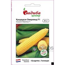 Семена Кукурузы Оверленд F1, 20 шт., Syngenta, Голландия, Pro Seeds