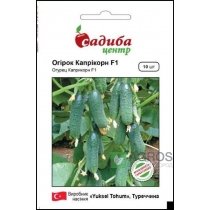Насіння Огірка Капрікорн F1, 10 шт, Yuksel Tohum, Туреччина, Садиба Центр Насіння Огірка Капрікорн F1, 10 шт, Yuksel Tohum, Туреччина, Садиба Центр