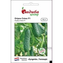 Насіння Огірка Спіно F1, 10шт, Syngenta, Голландія, Садиба Центр Насіння Огірка Спіно F1, 10шт, Syngenta, Голландія, Садиба Центр